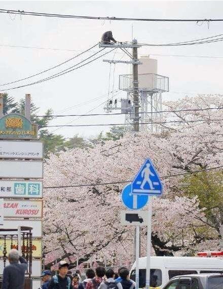 【囧图】花式秀恩爱 老年版太阳的后裔