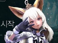 NEXON接手代理韩服《TERA》 推跑跑卡丁车时装