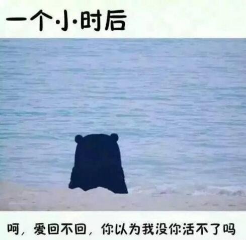 【囧图】别人的自拍VS你的自拍