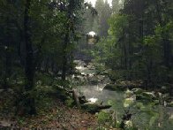 CryEngine V突破画面新高度 超逼真森林公开